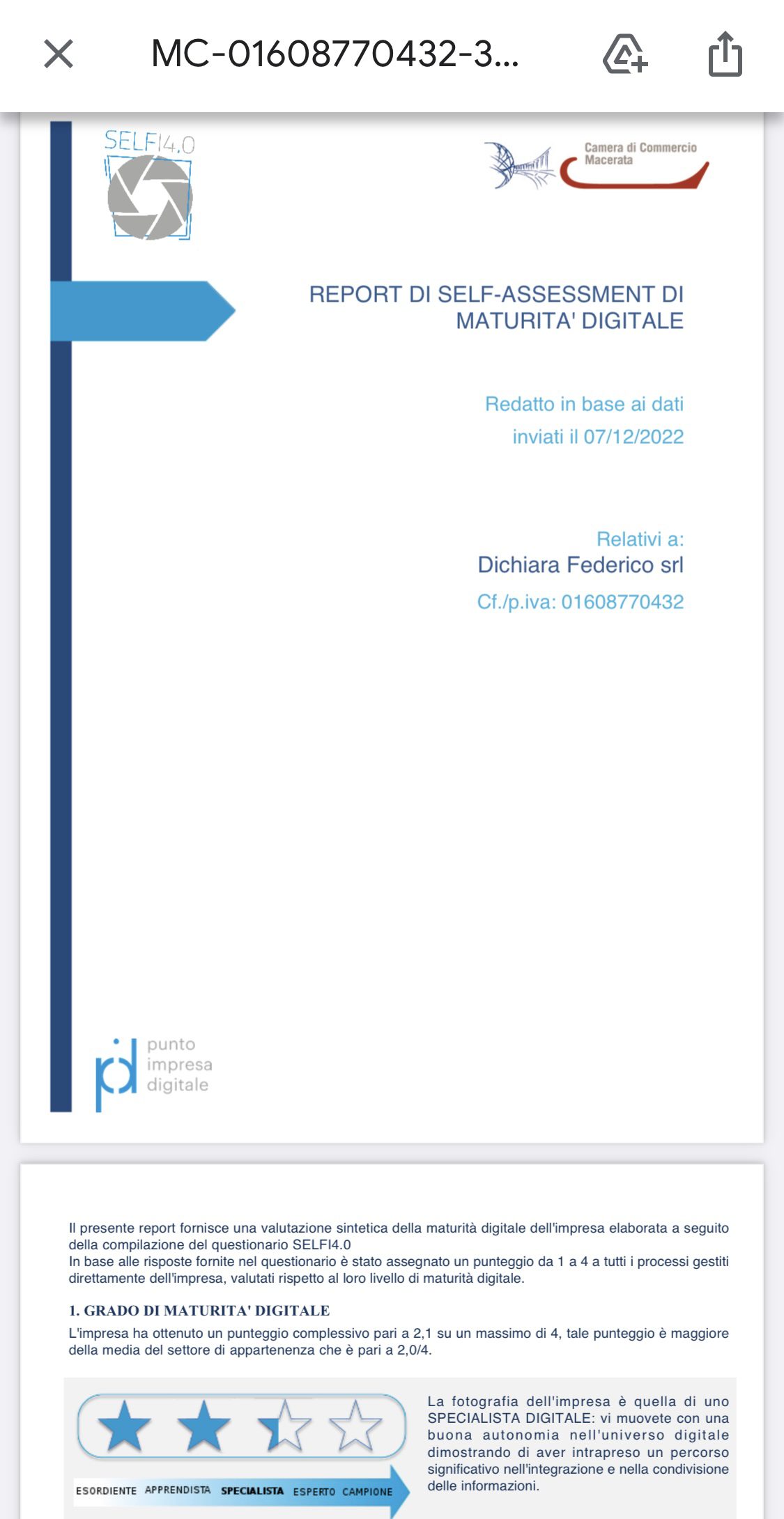 SELFI 4.0 – Punto Impresa Digitale C.C.I.A.A.